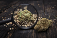 Marj Jane Seeds Big Devil X Purple Punch Autoflower...